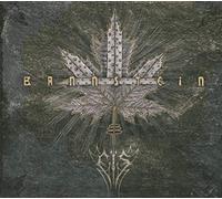 Decapitated - Cancer Culture - Green [CASSETTE] [Casete]