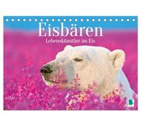 Eisbären: Lebenskünstler im Eis (Tischkalender 2026 DIN A5 quer), CALVENDO Monatskalender: Der Eisbär: Der König der Arktis