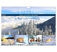 Eiszeit. Winter und Frost in der Natur (Wandkalender 2027 DIN A4 quer), CALVENDO