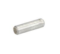 Eje de columna para dispositivo de elevación EVERT ZL206101005