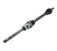 Eje De Transmisión Derecho Para Peugeot Expert Traveller 16-
