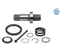 Eje del diferencial 100 498 0242 MEYLE para VW MULTIVAN T5