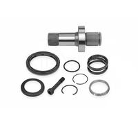 Eje del diferencial 100 498 0247 MEYLE para SEAT VW AUDI