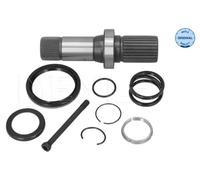 MEYLE 100 498 0252 Palier, diferencial