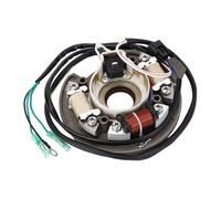 Ejoyous Bobina de Iluminación de Carga Fueraborda, Reemplazo de la Bobina del Estator del Motor, Funcionamiento Suave para 40X E40X