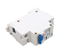 Ejoyous Interruptor Magnetotérmico DC 1P 125A 250V 10KA TOB1Z 125, Modular Screw Clamp con Magnético de Extinción de Auxiliar para DC de Batería Solar Fotovoltaica, Inversor UPS, Marino