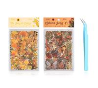 EJRUP 16 hojas de pegatinas de otoño, pegatinas infantiles con motivos otoñales, ardillas, erizos, calabazas y hojas de arce para decoraciones de Acción de Gracias y álbumes de recortes Con pinzas