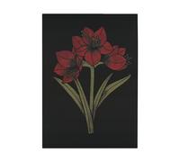 Ekelund Linneväveri Paño de cocina Kapamaryllis 48x70 cm Negro-rojo
