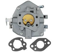 EKFBQBGW 846109 Carburetor with Gaskets for Engine 350447 356447 Model 16HP 17HP 18 H-P Vanguard 808253 809017 843324 845023 EKFBQBGW
