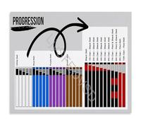 EKFBQBGW Brazilian Jiu Jitsu BJJ Belt Progression Chart Rank Order Poster for Dojo Training Room Gym Wall-Art Decor 8 X 12 in