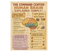 EKFBQBGW Medical Poster The Human Brain, Detailed Neuroscience & Anatomy Chart, Informative Wall Decor for Student Education, Hospital or Office Framed,16x24inch(40x60cm)