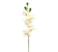 Ekilikua Home | Flores Artificiales | Flores Decorativas | Flor Orquídea en Rama | Ideal para decoración, florero, Bodas, Regalos (Flor Orquídea)