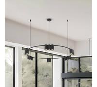 Eko-Light Lámpara colgante Genesis, aluminio, negro, 15 x GU10, Ø 100 cm