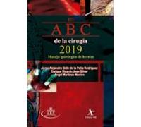 El Abc De La Cirugía 2019. Manejo Quirúrgico De Hernias (ebook)