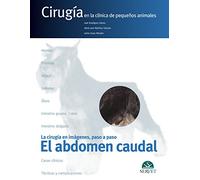 El abdomen caudal. Cirugía en la clínica de pequeños animales. La cirugía en imágenes, paso a paso: 2