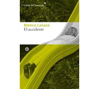 El accidente: 339 (Libros del Asteroide)