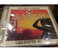 El Amor de Mis Amores