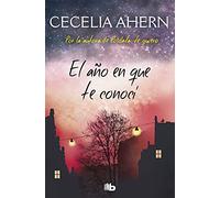 El año en que te conocí (Ficción)