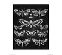 El Arte Grupo Barry Goodman (Eleven Moths) - Lámina Decorativa (40 x 50 cm, Papel, Multicolor, 40 x 50 x 1,3 cm)