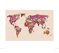 El Arte Grupo Bianca Verde (Nuestro Maravilloso Mundo) - Lámina Decorativa (60 x 80 cm, Papel, Multicolor, 60 x 80 x 1,3 cm