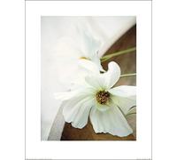 El Arte Grupo Blanco Still Life II, Ian Winstanley, Art Print, Papel, Multicolor, 40 x 50 x 1,3 cm