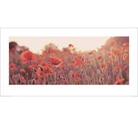 El Arte Grupo Campo de Amapolas Ian Winstanley, Art Print, Papel, Multicolor, 50 x 100 x 1,3 cm