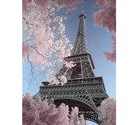 El Arte Grupo David Clapp (por Infrarrojos de la Torre Eiffel, París) - Lienzo Decorativo (30 x 40 cm, Madera, Multicolor, 30 x 40 x 1,3 cm