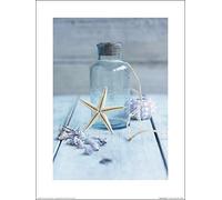 El Arte Grupo Howard Shooter (Seaside Treasure) - Lámina Decorativa (30 x 40 cm, Papel, Multicolor, 30 x 40 x 1,3 cm