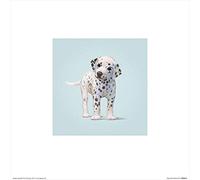 El Arte Grupo John Butler (Perro) - Lámina Decorativa (30 x 30 cm, Papel, Multicolor, 30 x 30 x 1,3 cm