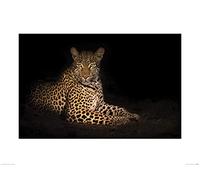 El Arte Grupo Mario Moreno (Belleza en la Noche) - Póster (60 x 80 cm, Papel, Multicolor, 60 x 80 x 1,3 cm