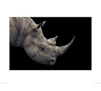 El Arte Grupo Mario Moreno (en Peligro crítico) - Lámina Decorativa (60 x 80 cm, Papel, Multicolor, 60 x 80 x 1,3 cm