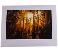 El Arte Grupo Mario Moreno (Encantado) - Lámina Decorativa (60 x 80 cm, Papel, Multicolor, 60 x 80 x 1,3 cm