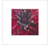 El Arte Grupo Sarah Caswell (Fabulous Black Wizard Dahlia) - Lámina Decorativa (60 x 60 cm, Papel, Multicolor, 60 x 60 x 1,3 cm