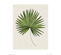 El Arte Grupo Summer Thornton (Tropical Leaf III) - Lámina Decorativa (40 x 50 cm, Papel, Multicolor, 40 x 50 x 1,3 cm)