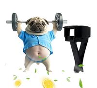 El automóvil disodificante para recortar en el perfume interior de la ventilación duradera para el accesorio de los aromas elegantes y compactos de los aromas-autos para el tablero, ventilatio