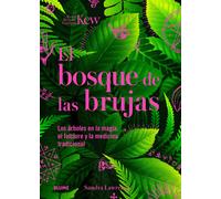 El bosque de las brujas | Sandra Lawrence