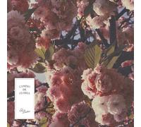 El Buho - Camino de Flores [Vinilo]