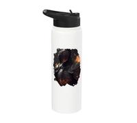 El caballero un héroe en el sombrío Stainless Steel Insulated Water Bottle