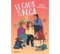El Caos De La Beca 2. Per Que Es Tot Tan Complicat?