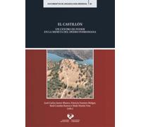 El Castillón. Un centro de poder en la Meseta del Duero posromana: 20 (Documentos de Arqueología Medieval)