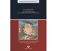 El Castillón. Un Centro De Poder En La Meseta Del Duero Posromana