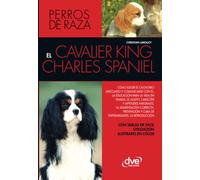 El cavalier king charles spaniel