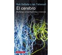 El Cerebro: Big Bangs Comportamientos Y Creencias