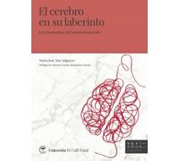 El cerebro en su laberinto: Los trastornos del neurodesarrollo: 11 (El Café Cajal)