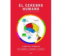 El cerebro humano. Libro de trabajo (Ariel)
