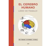 El cerebro humano: Libro de trabajo (Ariel)