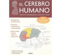 El cerebro humano: Método de autoaprendizajeutilizando el color. (ANATOMIA/MEDICINA/SALUD)