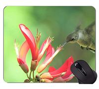 El cojín de ratón CREA, los colibríes Que vuelan y Que alimentan los Cojines de ratón Rojos del Juego de la Flor