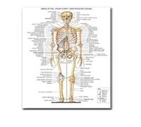 El corazón humano lienzo pintura arte anatomía humana sistema de músculos póster cuerpo mapa pared cuadros for educación médica decoración del hogar(16,20x25cm No frame)