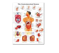 El corazón humano lienzo pintura arte anatomía humana sistema de músculos póster cuerpo mapa pared cuadros for educación médica decoración del hogar(12,60x90cm No frame)